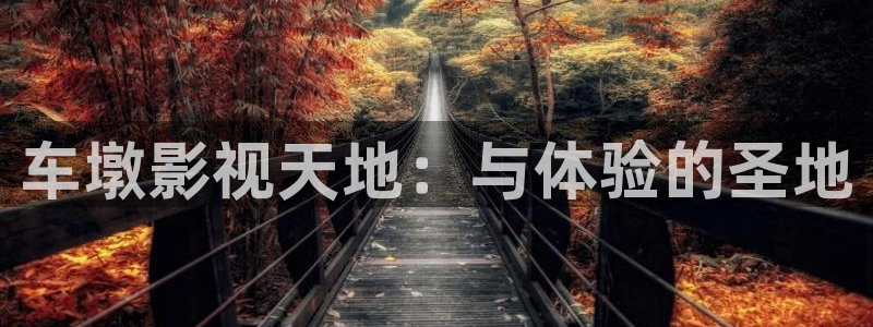 wwyy4480：车墩影视天地：与体验的圣地