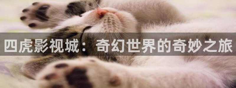 万利达影院yy4480：四虎影视城：奇幻世界的奇妙之旅