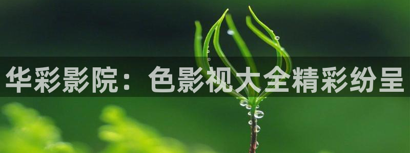 wwyy4480：华彩影院：色影视大全精彩纷呈