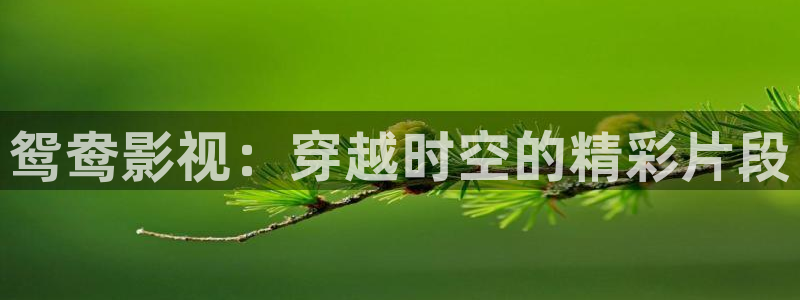 影院yy4480：鸳鸯影视：穿越时空的精彩片段