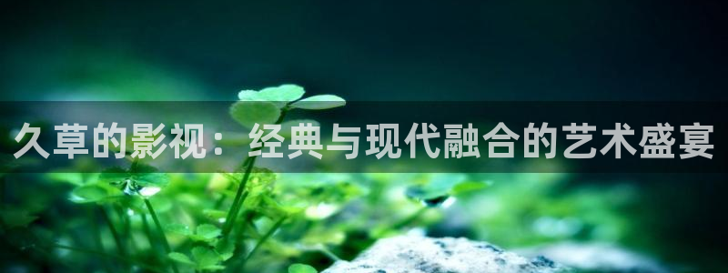 www.yy4480：久草的影视：经典与现代融合的艺术盛宴