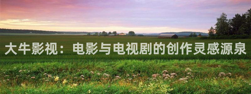 yy4480免费电影：大牛影视：电影与电视剧的创作灵感源泉