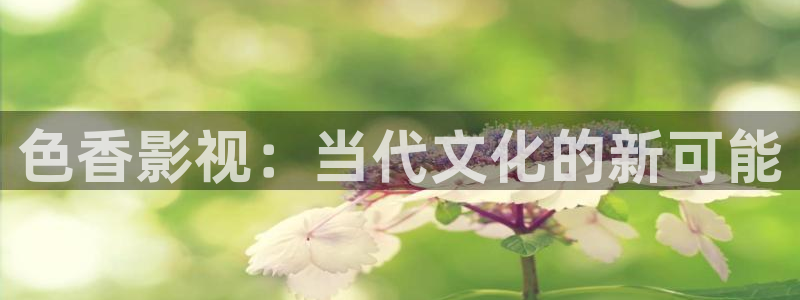 yy4480韩国电影：色香影视：当代文化的新可能