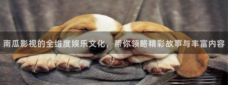 yy4480天昊：南瓜影视的全维度娱乐文化，带你领略精彩故事与丰富内容