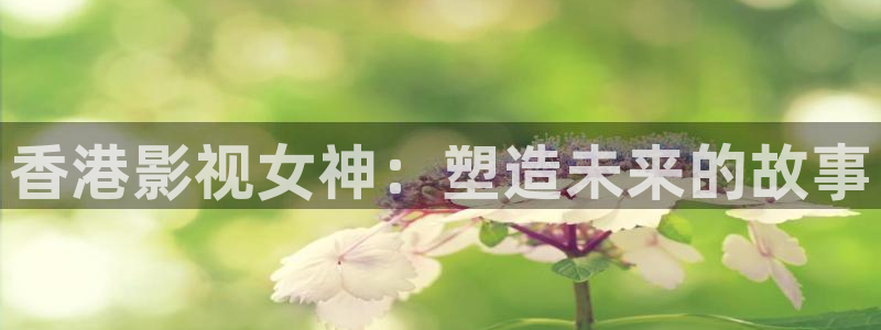 yy4480免费观看：香港影视女神：塑造未来的故事