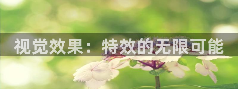 yy4480殇情影院：视觉效果：特效的无限可能