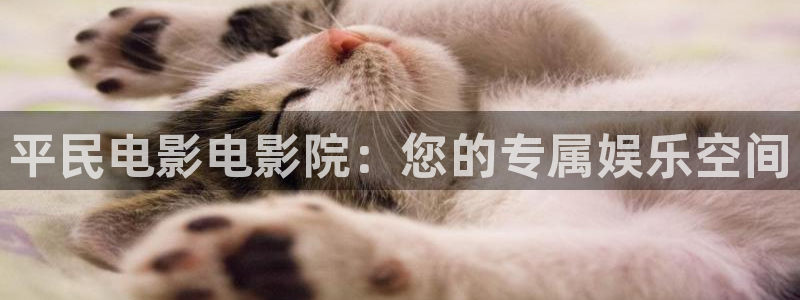 yy4480樱桃：平民电影电影院：您的专属娱乐空间