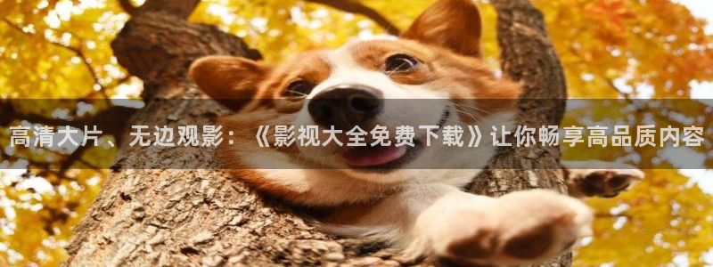 yy4480首播影院青苹果：高清大片、无边观影：《影视大全免费下载》让你畅享高品质内容