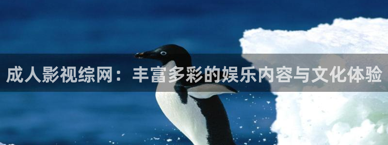 yy4480伦理：成人影视综网：丰富多彩的娱乐内容与文化体验